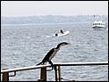 Must-See things in Sydney (holiday)-kurnell-2.jpg