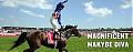 Melbourne Cup sweep, get your horse now!!-makybe-diva.jpg