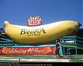 Exotic Foods-banana2.jpg