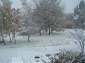 It Is Sooo Snowing Here In Shropshire-dscf1822.jpg