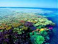 Submit your NICE photos from Australia-snorkelling-great-barrier-reef.jpg