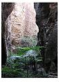 Submit your NICE photos from Australia-carnarvan-gorge.jpg