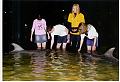 Dolphin Wild or Tangalooma Resort Day Trip - Brisbane-scan0023.jpg