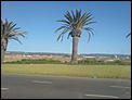 photo's of Adelaide-way-semaphore.jpg