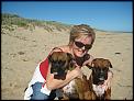 Here are my fur babies now! Boxer appreciation society??!!-newcar-23-.jpg