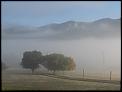 Tasmania??-img_6720.jpg