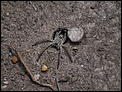 Tasmania (continued!)-csc_0128.jpg