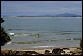 Tasmania (continued!)-bridport-march-09-097.jpg