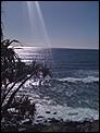 some piccies of my morning walk at local beach -Gold Coast-041.jpg