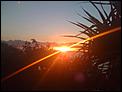 some piccies of my morning walk at local beach -Gold Coast-034.jpg