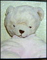 A family (IN PERTH) in mourning for a lost teddy desperately seeking help!-lost-teddy-.jpg