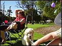 Pets - how many have you acquired since moving to Australia?-picture-041.jpg