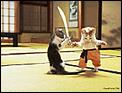 Just for Moneypen-animal-satire-kitten-cat-sword-feline-martial-arts.jpg