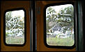 Sydney Trip - Tolls and Trains (Warning: Photos)-train-0002.jpg