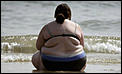First elephant seal-fat-woman-beach.jpg