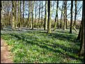 Spring in England-img_20140416_140709.jpg