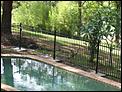 Which pool fence would you go for ?-img_6296.jpg