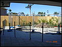 Which pool fence would you go for ?-dscn1478.jpg