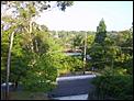 The View From Your Window-sv201620.jpg