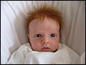 baby passport photos-dscf4867.jpg