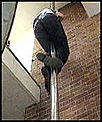 if you were to buy another member something-_147257_a_fireman_slides_down_a_pole_at_a_fire_station150-01-06-98-grab.jpg