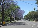 Post a picture of your street, view from your house etc!-richmond2.jpg