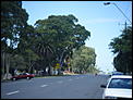Post a picture of your street, view from your house etc!-house-coburg-002.jpg