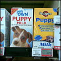 Major Dog Dilema!-puppy-milk-cropped.jpg