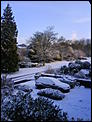 Freekin' Freezing here...-december2009snow-003.jpg