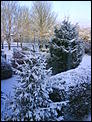 Freekin' Freezing here...-december2009snow-004.jpg
