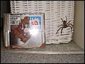 Is this a wolf spider?-p8030010.jpg