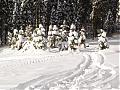 Driving Test - British Columbia-snow-people.jpg