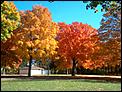 Fall pictures-fall1.jpg
