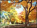 Fall pictures-fall3.jpg