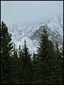 Fall pictures-waterton-park-highway-40-banff-20th-sept-100.jpg