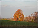 Fall pictures-picture-434.jpg