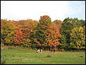 Fall pictures-picture-443.jpg