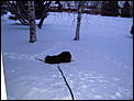 Ready for the Storm....-henry-winter-2008-004.jpg