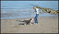 How dog friendly is Vancouver?-dsc00348.jpg