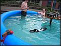 s w a  cable-pool-electrics.jpg