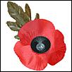 POPPIES FOR REMEMBRANCE DAY-poppy-silk.bmp