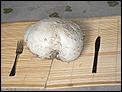 Spring in the garden - what &amp; when will you sow?-giant-puffball-2.25kg.jpg