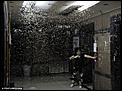 Bugs - What to Expect in Highrise-swarming-termites.jpg