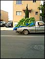 Don't move to Malta!!!-banana-delivery_fotor.jpg