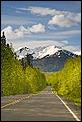 Camp Sites/Things to See &amp; Do in BC --trees-1.jpg