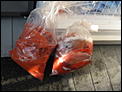 Attn: nldfc-img_1978.jpg