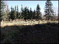 The vegetable patch-2011_1030acreage0034.jpg