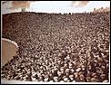 Post The Latest Picture You Have Taken-ibrox-1930s.jpg