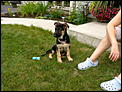 Pictures of your pets!-p8180007.jpg
