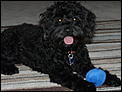 Pictures of your pets!-p1000784.jpg